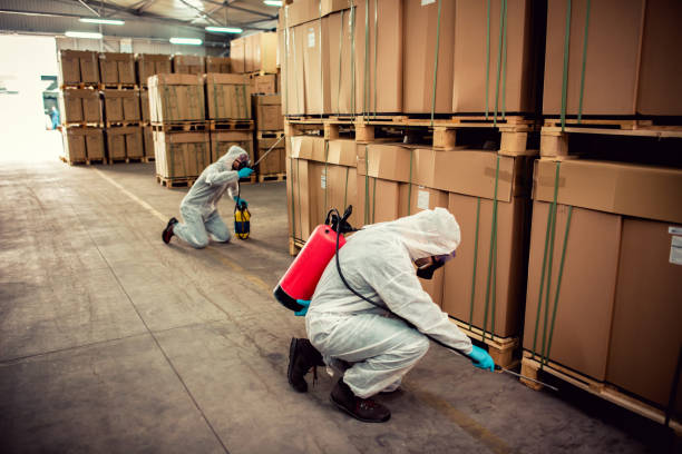 Trusted Hinckley, MN Pest Control Experts