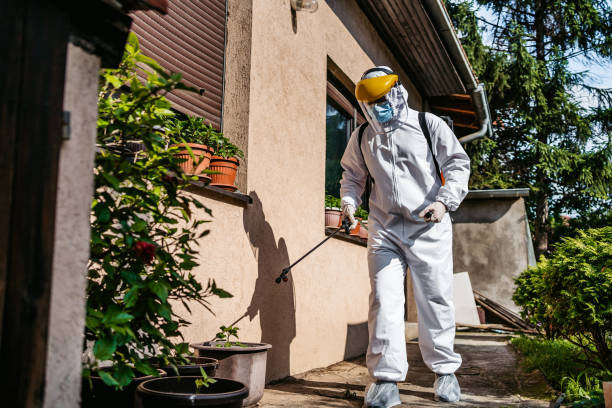 Best Pest Prevention Services  in Hinckley, MN
