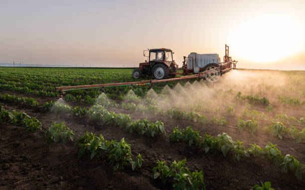 Best Pest Prevention Services  in Hinckley, MN