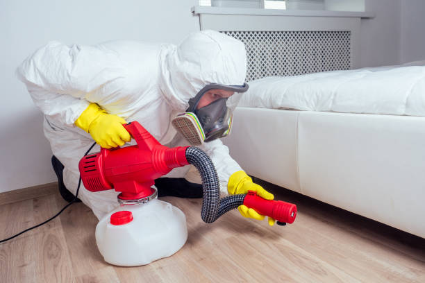 Best Wasp Removal Services  in Hinckley, MN